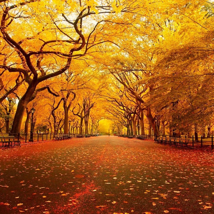 Otoño