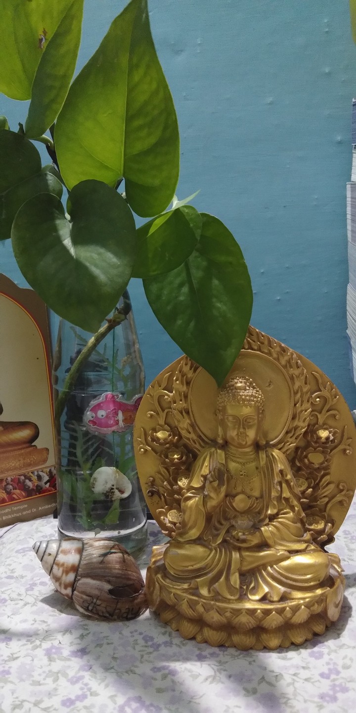 peace