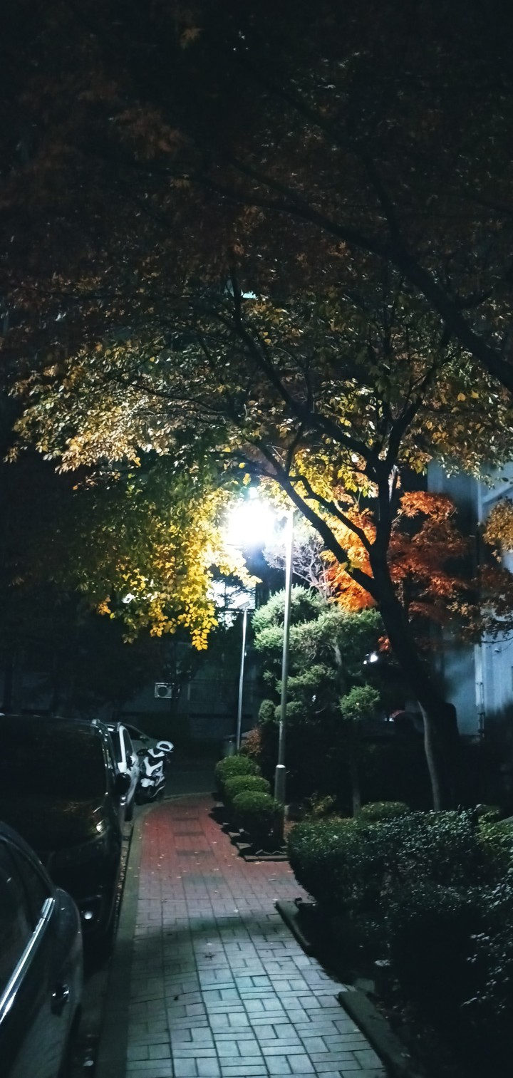 지난 어느 가을밤에