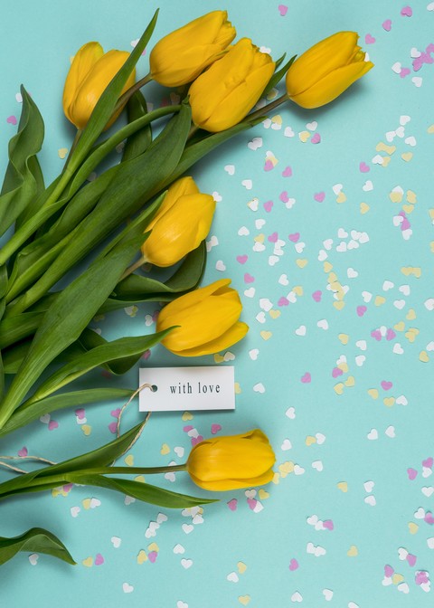 tulip, flower वॉलपेपर