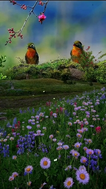 Nature