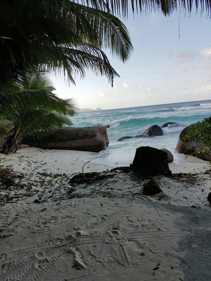 #beach