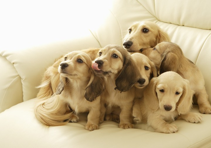 cute picture...