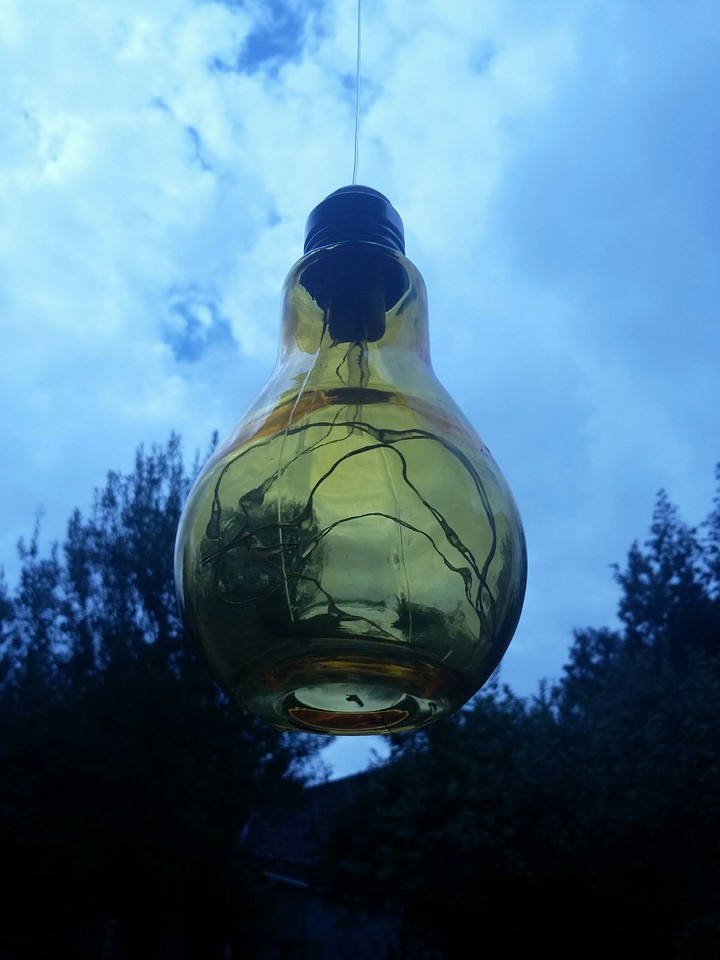 nature