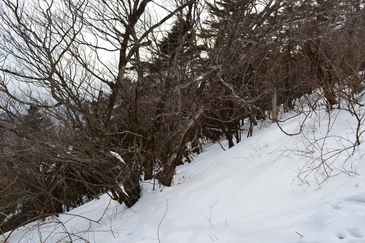 지리산이미지