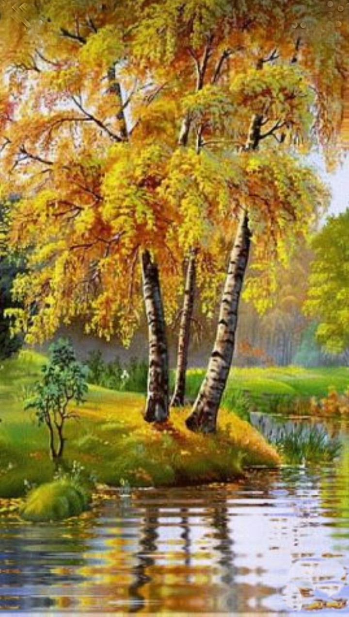 Nature