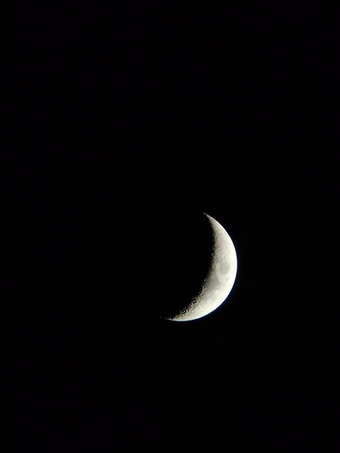 Moon
