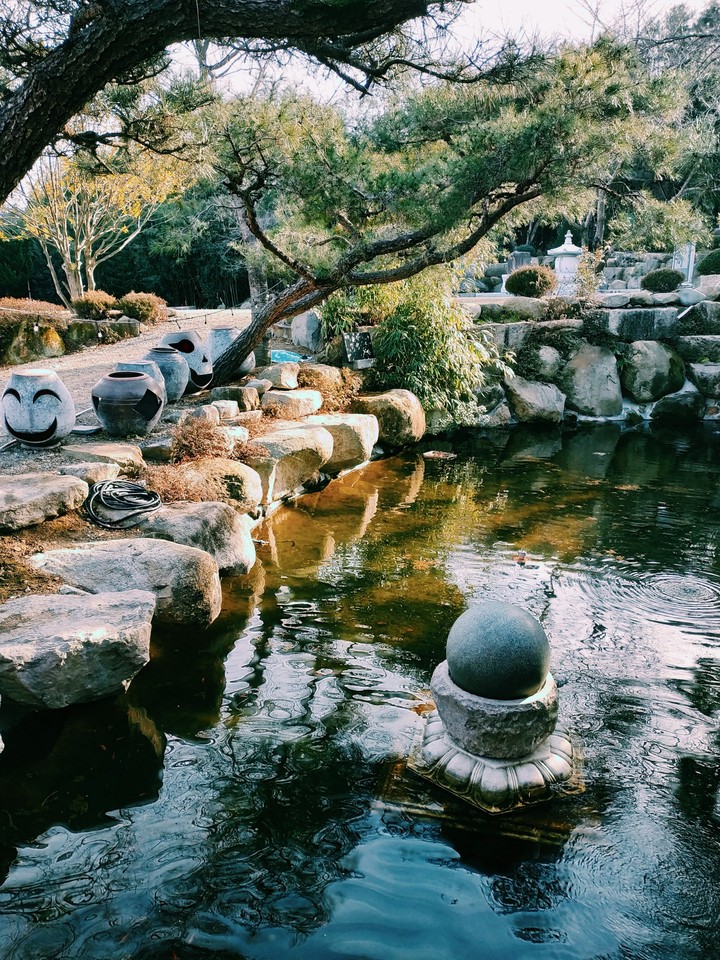 정원