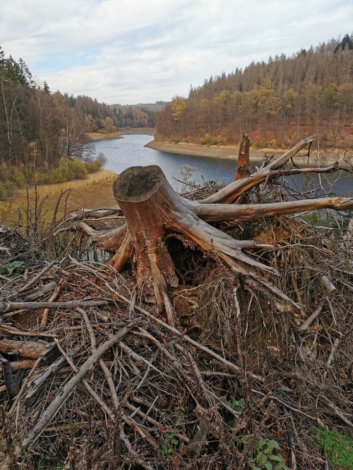 Natur