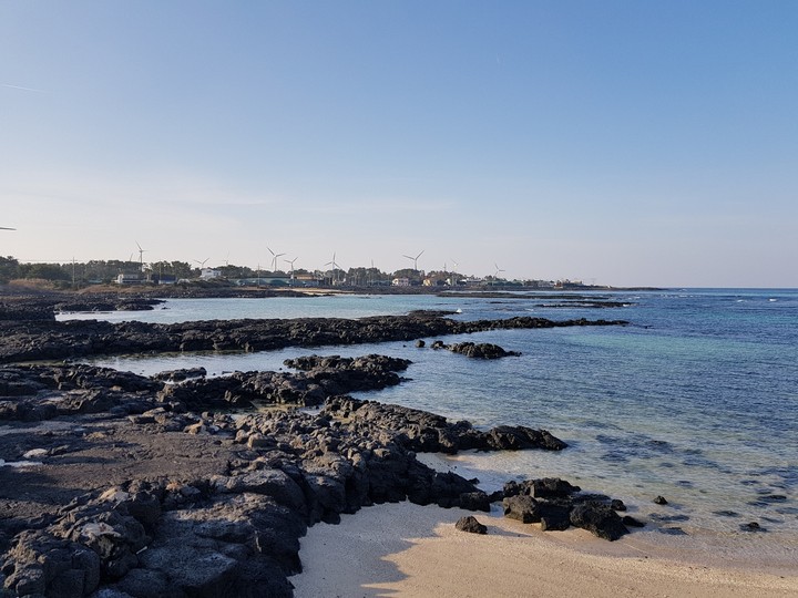 제주 jeju