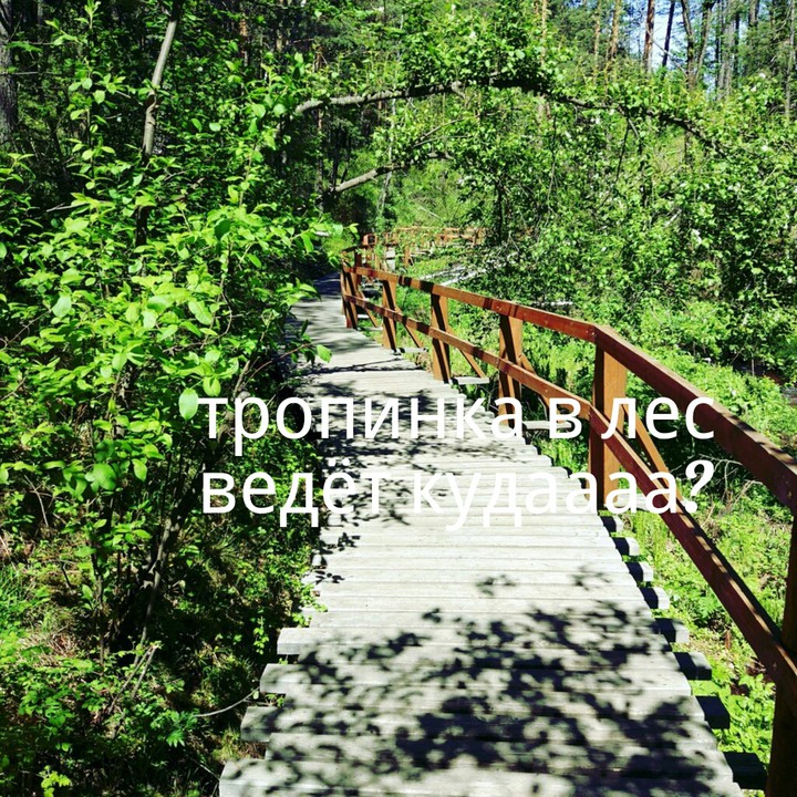 Ответ напишите в коментариях