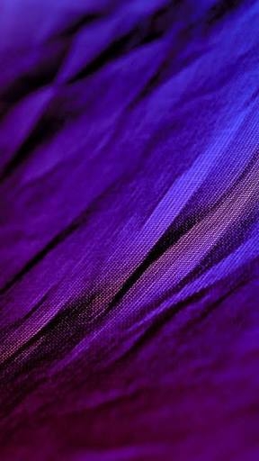 Roxo 3D