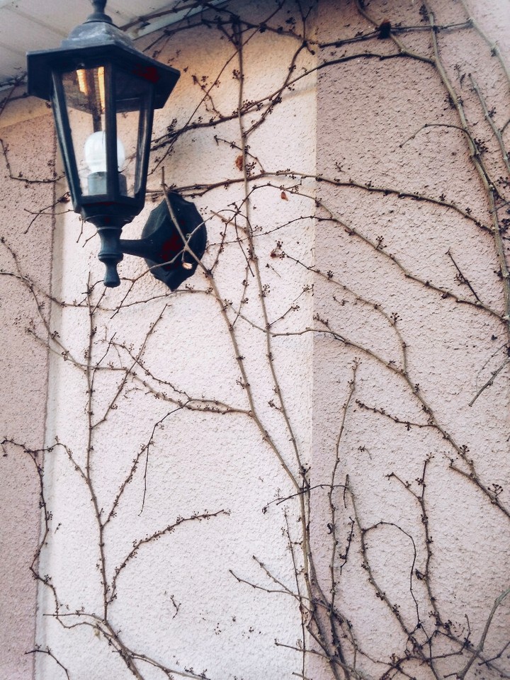 I really like this wall?
