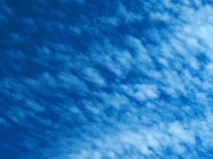 Spring Skies