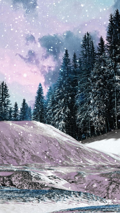 обои forest, precipitation