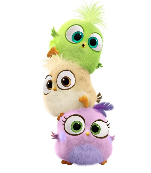 angry birds