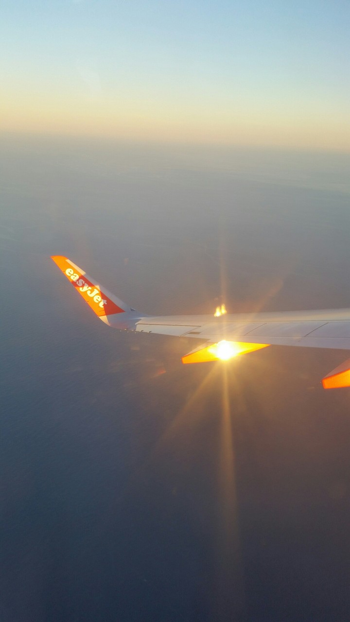 fly