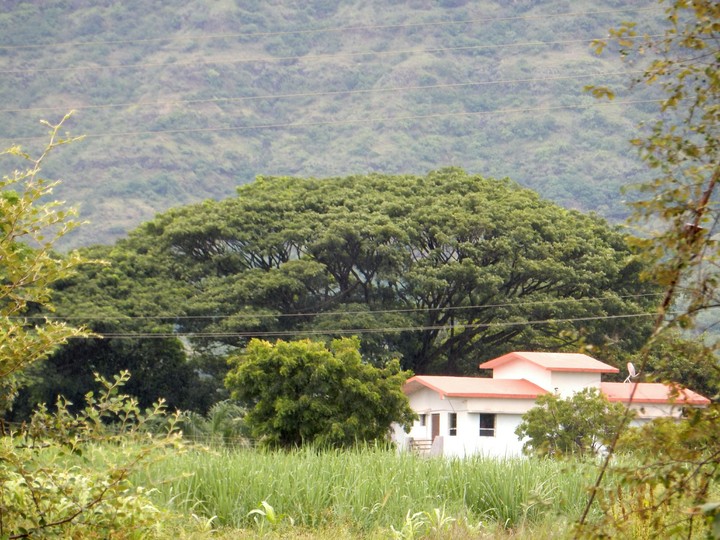 private fharmhouse.....near at khambatki ghat. dist pune