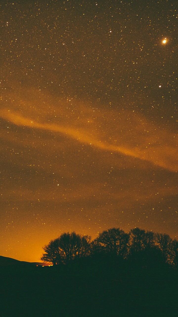 dream