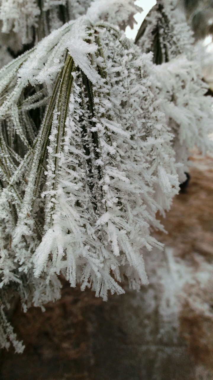 winter