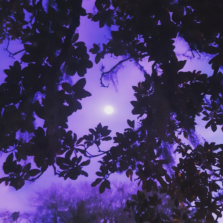 Purple Moon