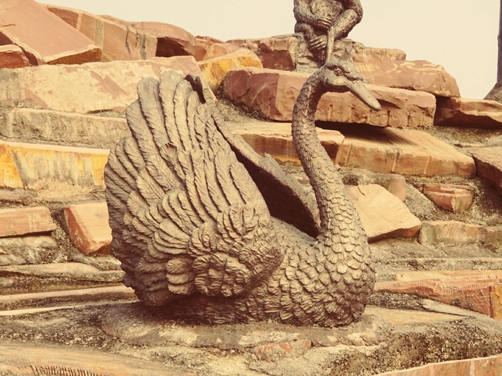 Swan