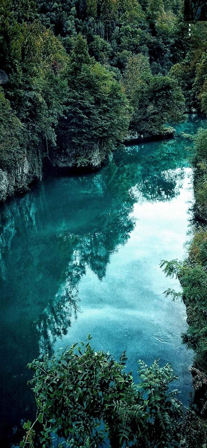 nature