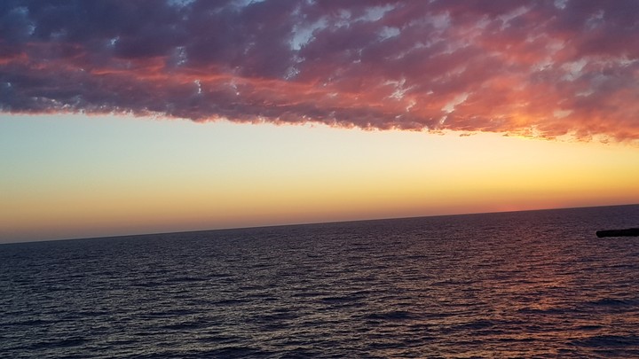Good evening