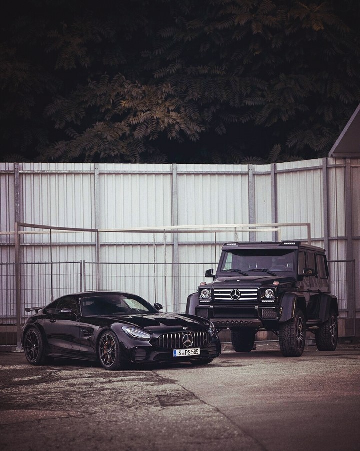 алмп
