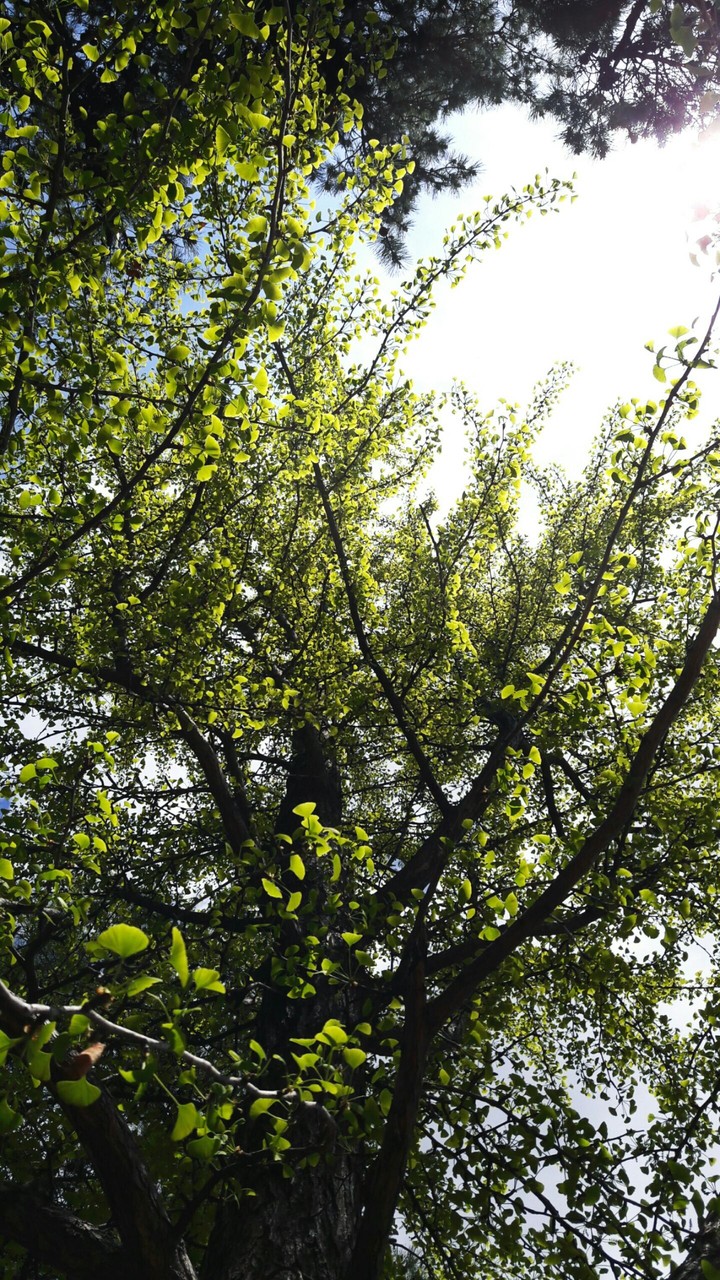 nature