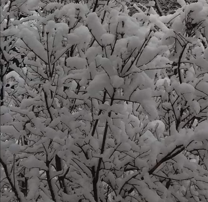 snow