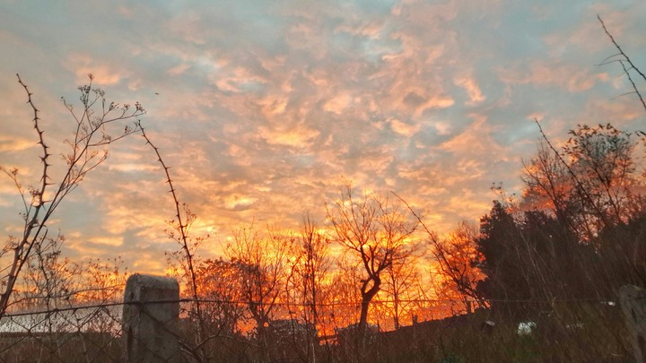 Alba