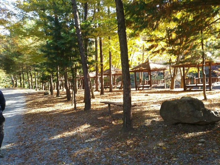 고산 자연 휴양림