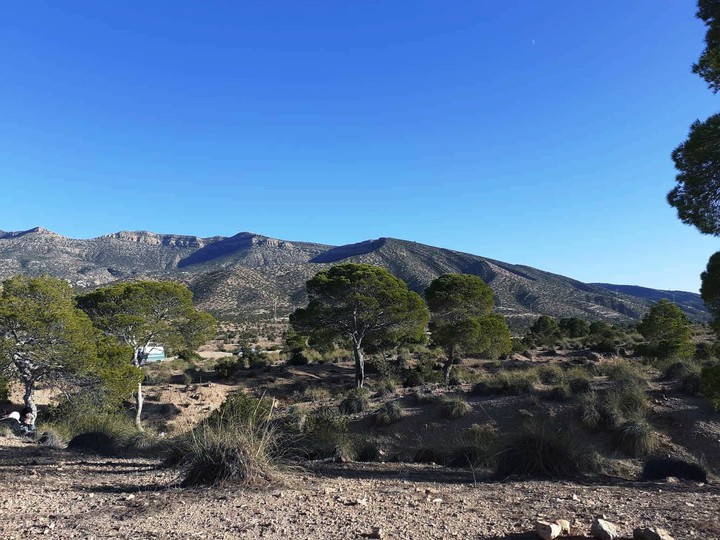 Fieldtrip to Bou Saada -.- Algeria