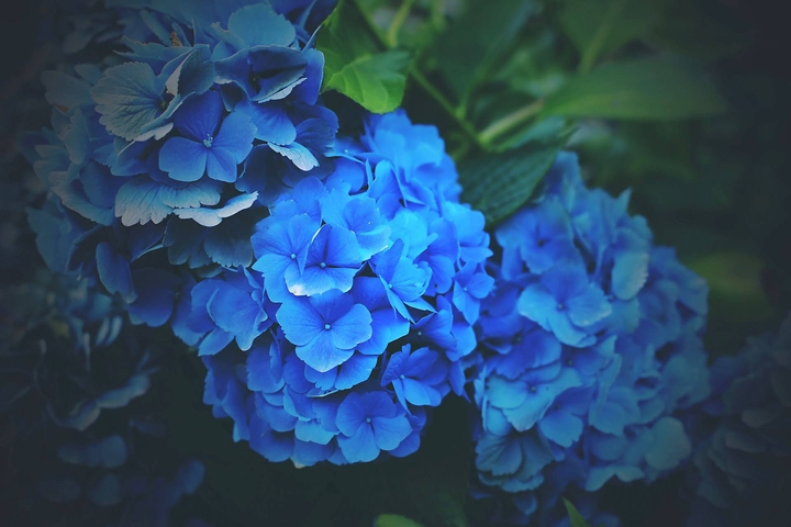 Azul