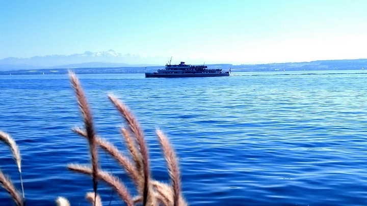 Bodensee