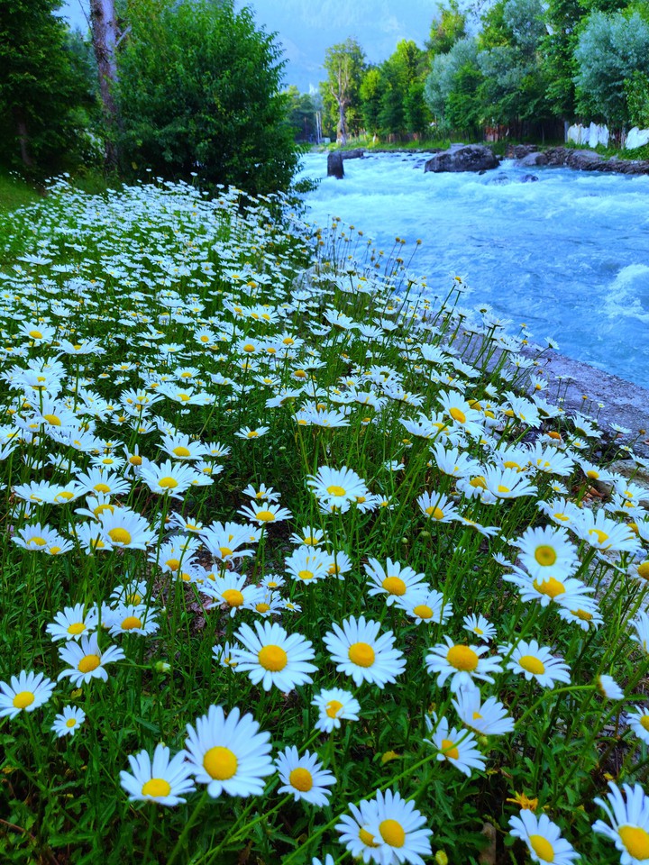 Pahalgam