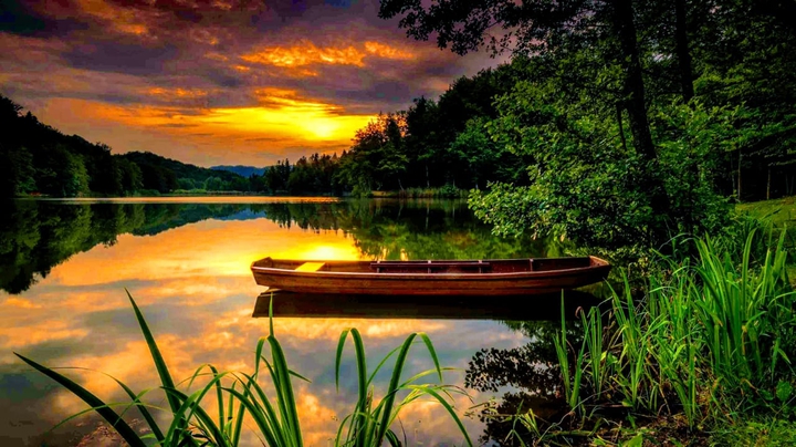 sunset