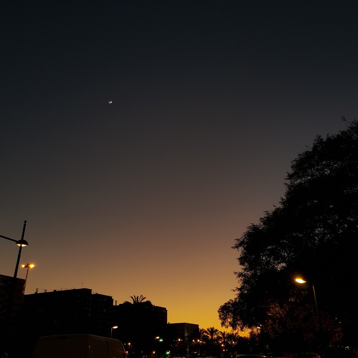no filter Valencia