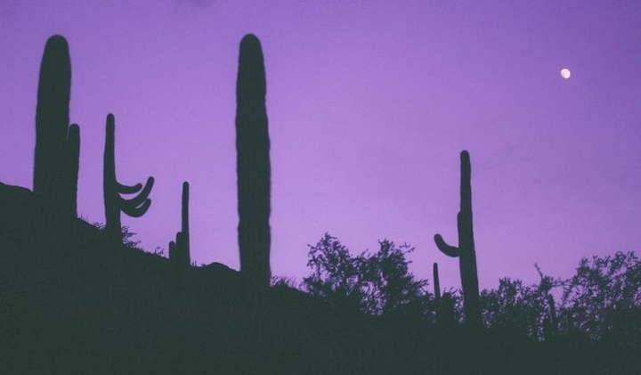 #purple sky