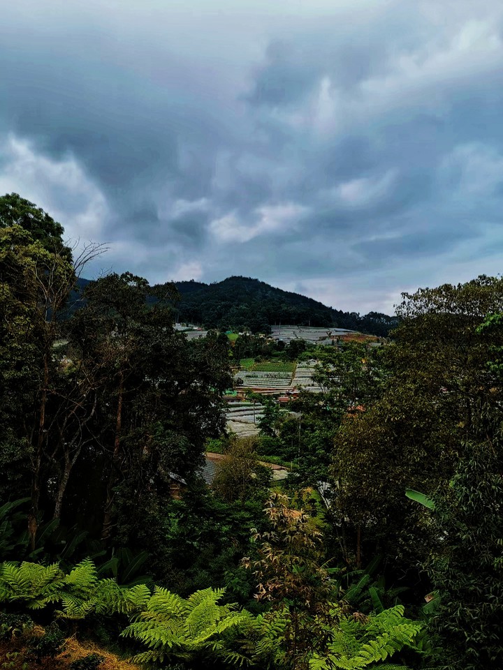 nature