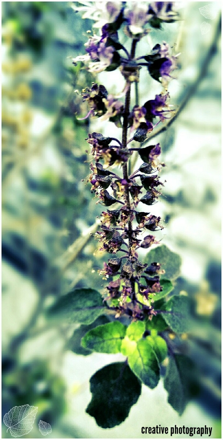 creatibe photography