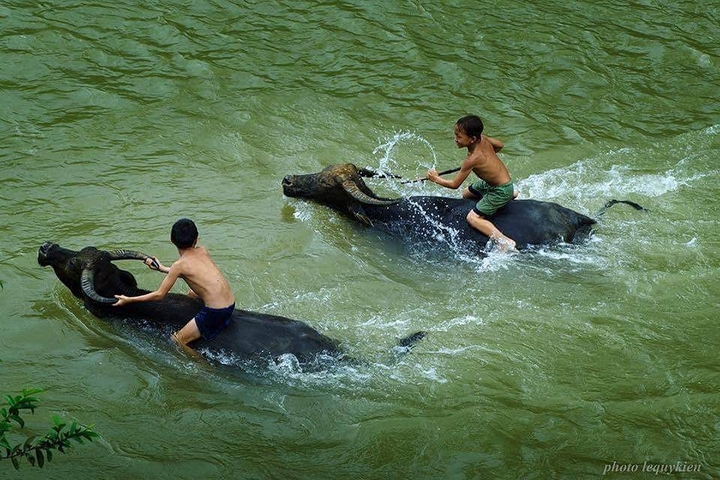 tuổi thơ