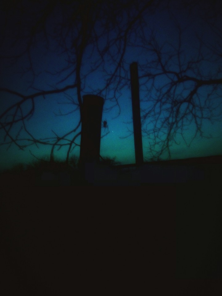night