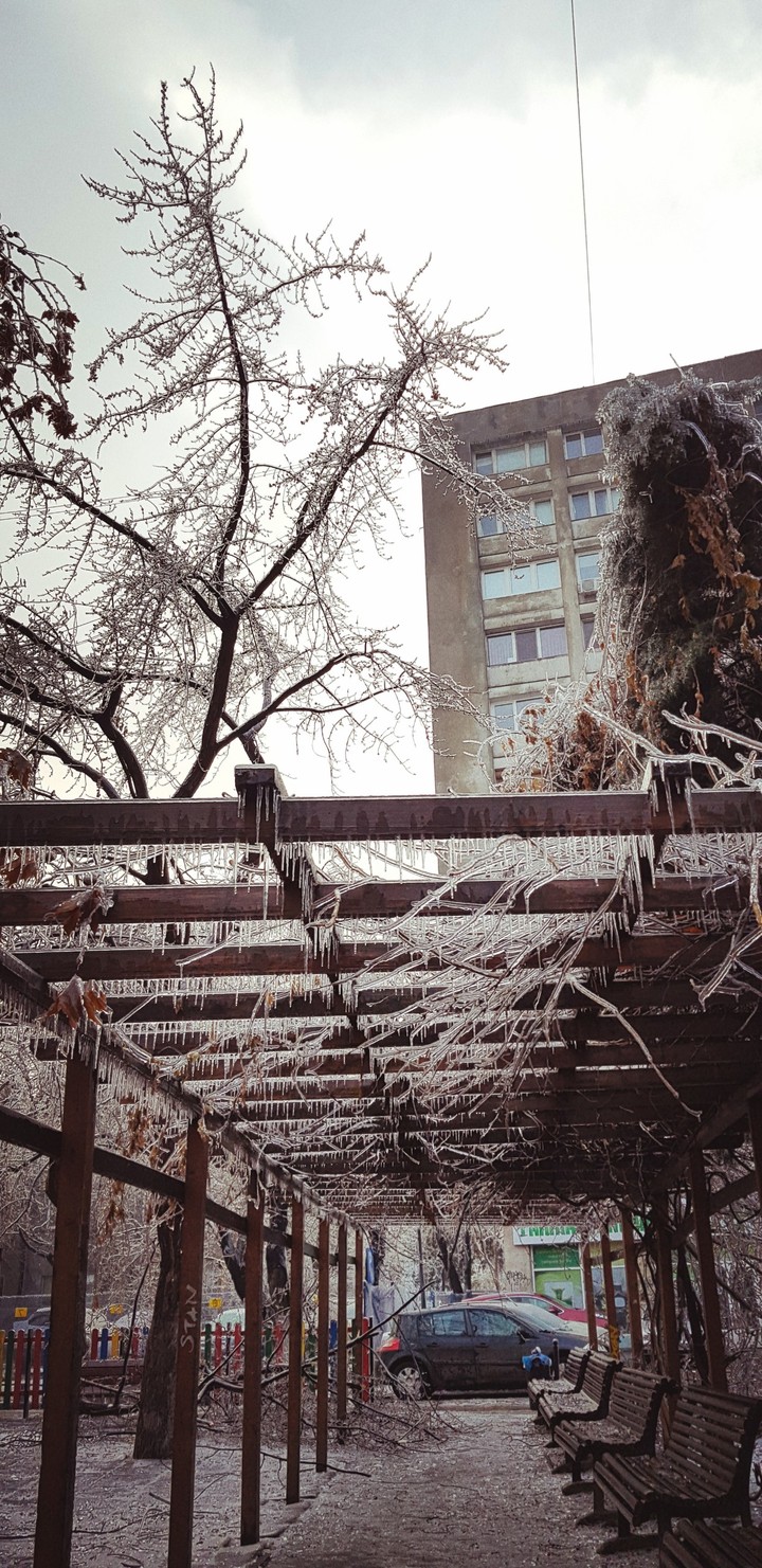 Freezing Rain