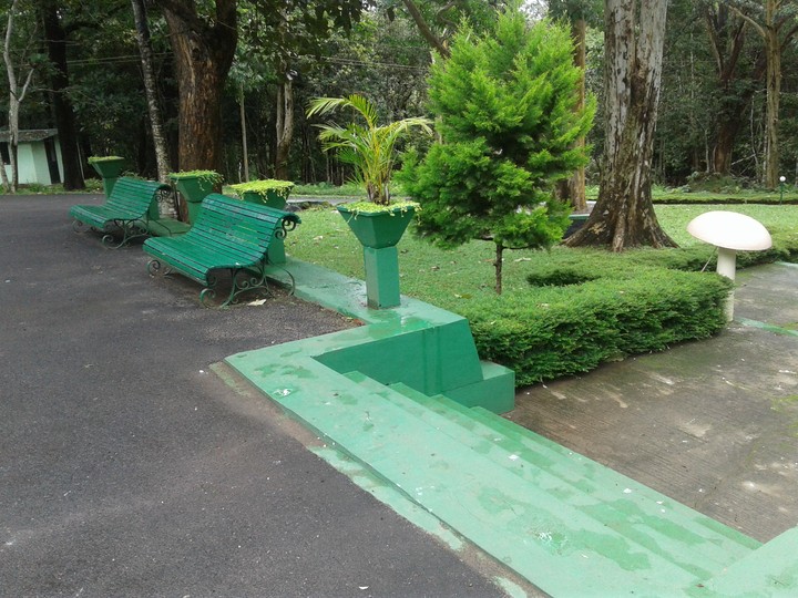 green7