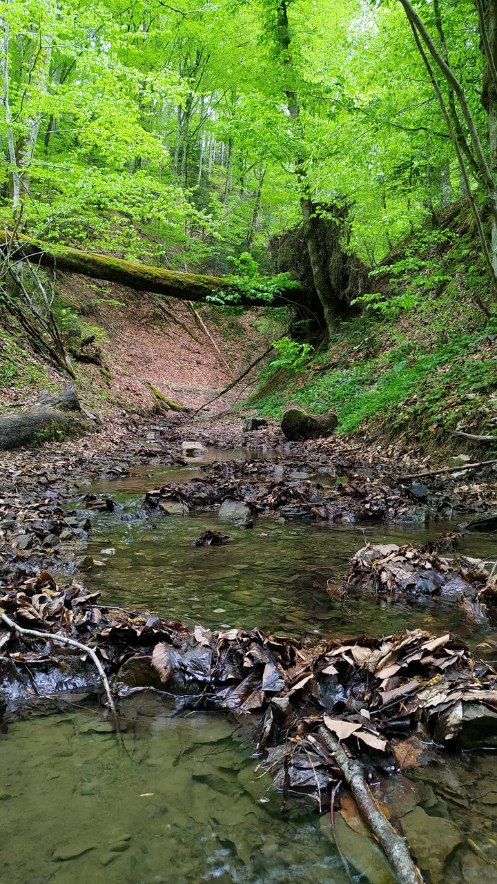 #nature