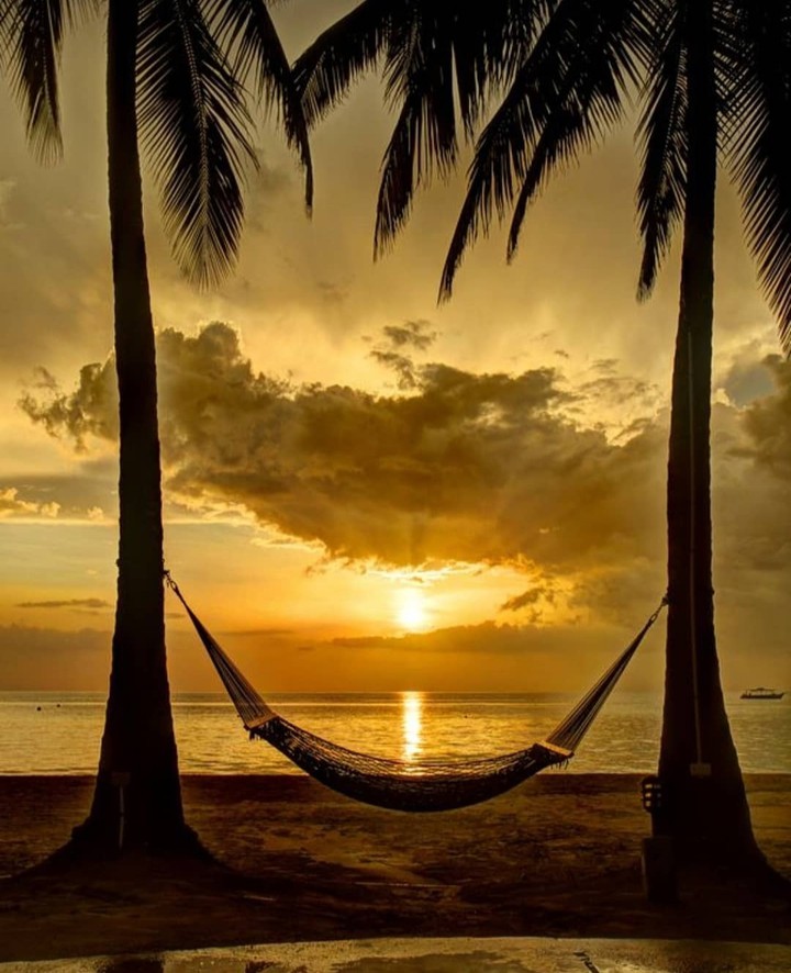 golden sunset ...