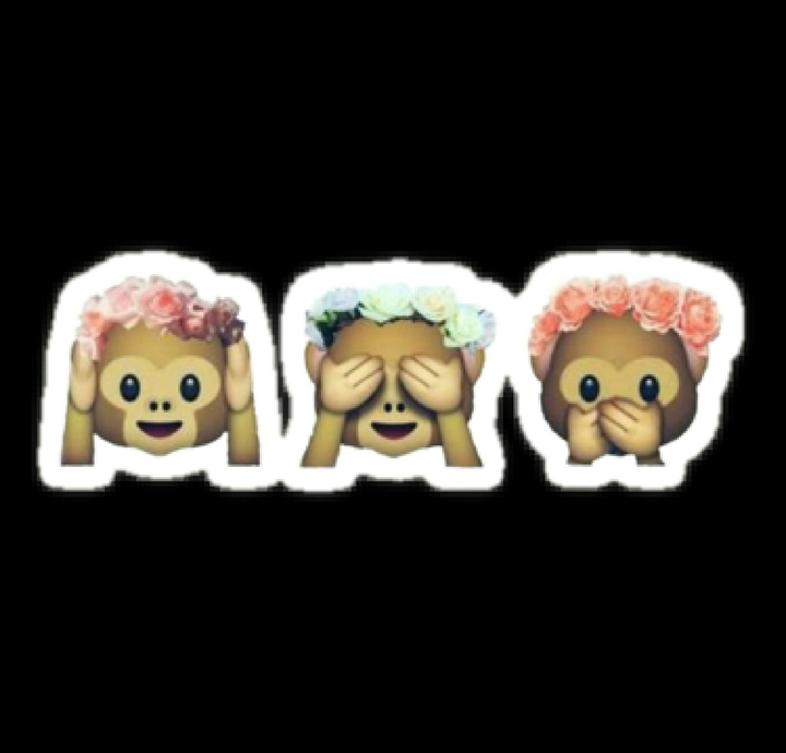cute monkey