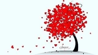 Loved